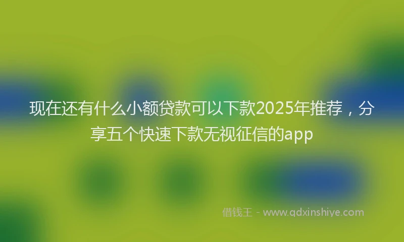 现在还有什么小额贷款可以下款2025年推荐，分享五个快速下款无视征信的app
