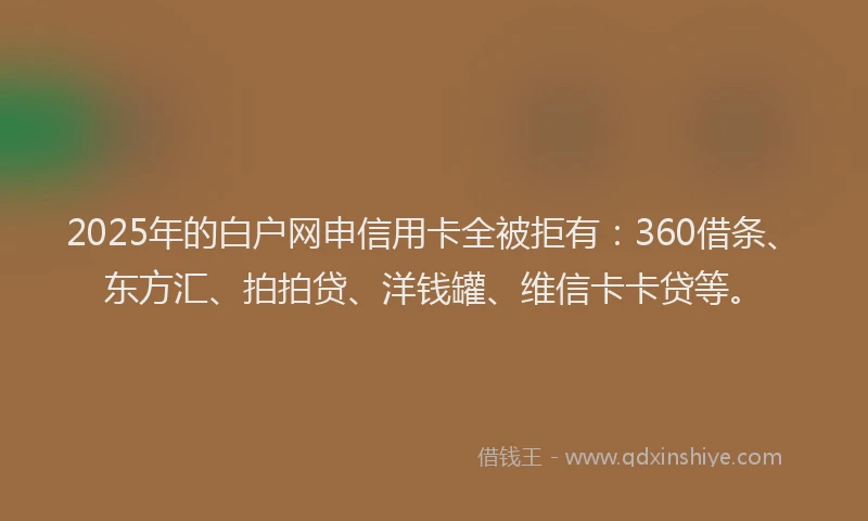 2025年的白户网申信用卡全被拒有：360借条、东方汇、拍拍贷、洋钱罐、维信卡卡贷等。