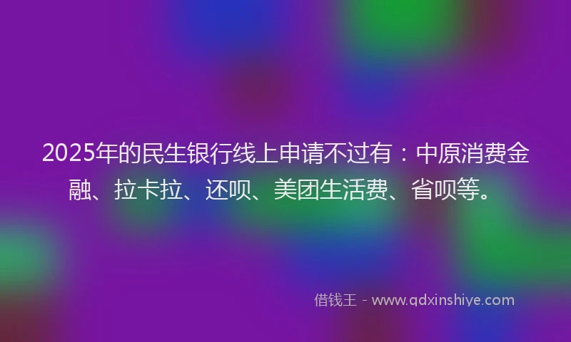 2025年的民生银行线上申请不过有：中原消费金融、拉卡拉、还呗、美团生活费、省呗等。