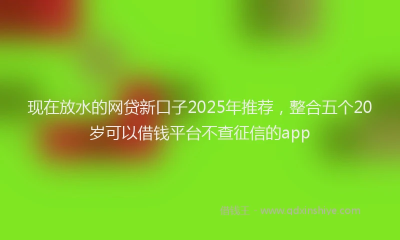 现在放水的网贷新口子2025年推荐，整合五个20岁可以借钱平台不查征信的app