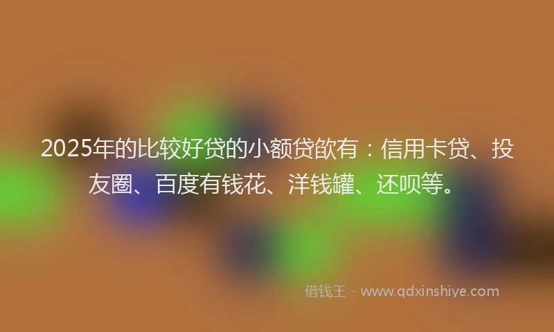 2025年的比较好贷的小额贷欿有：信用卡贷、投友圈、百度有钱花、洋钱罐、还呗等。
