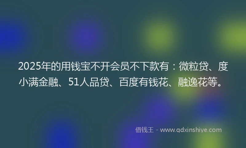 2025年的用钱宝不开会员不下款有：微粒贷、度小满金融、51人品贷、百度有钱花、融逸花等。