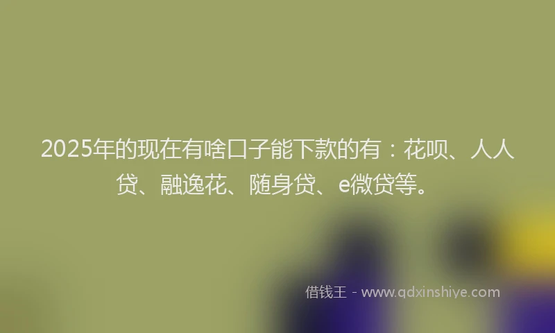 2025年的现在有啥口子能下款的有：花呗、人人贷、融逸花、随身贷、e微贷等。