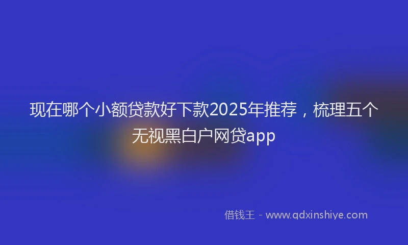 现在哪个小额贷款好下款2025年推荐，梳理五个无视黑白户网贷app