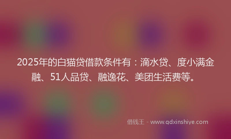 2025年的白猫贷借款条件有：滴水贷、度小满金融、51人品贷、融逸花、美团生活费等。