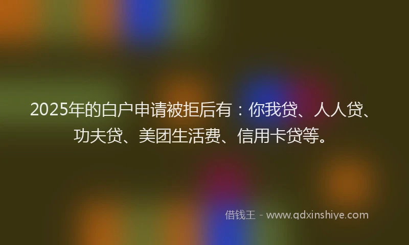 2025年的白户申请被拒后有：你我贷、人人贷、功夫贷、美团生活费、信用卡贷等。