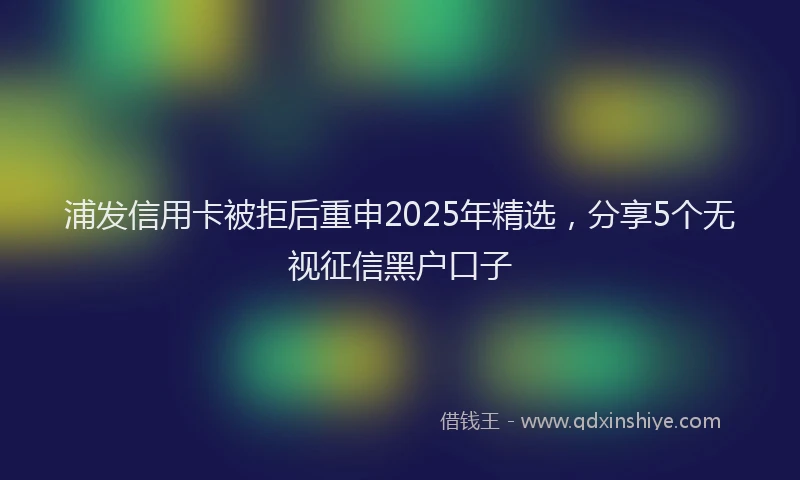 浦发信用卡被拒后重申2025年精选，分享5个无视征信黑户口子