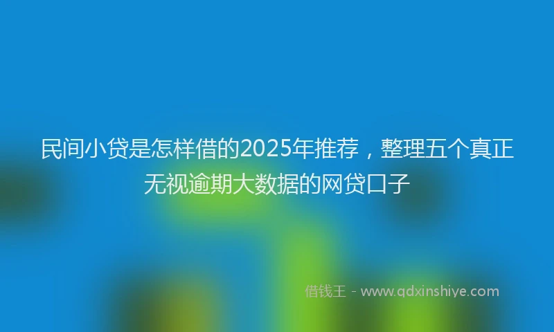民间小贷是怎样借的2025年推荐，整理五个真正无视逾期大数据的网贷口子