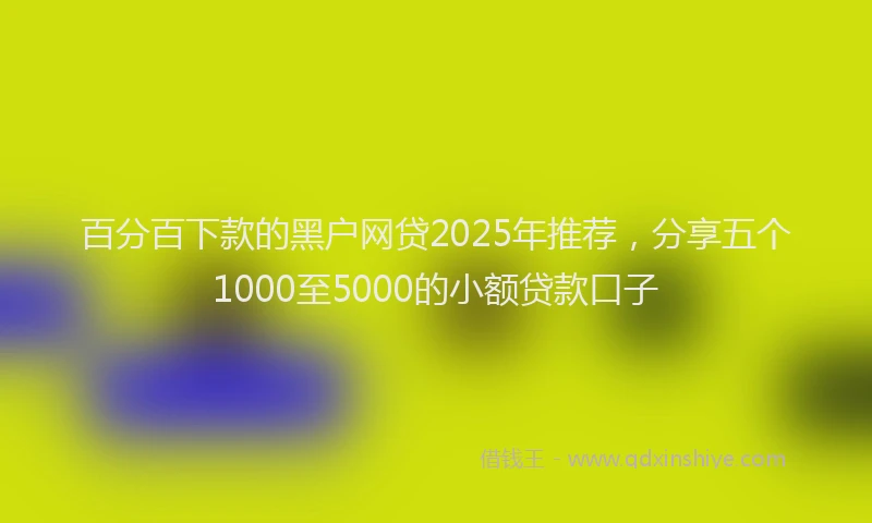 百分百下款的黑户网贷2025年推荐，分享五个1000至5000的小额贷款口子