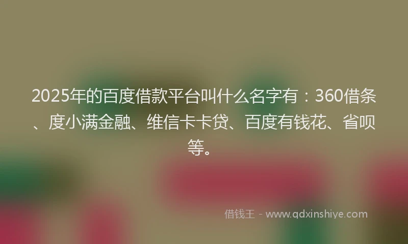 2025年的百度借款平台叫什么名字有：360借条、度小满金融、维信卡卡贷、百度有钱花、省呗等。