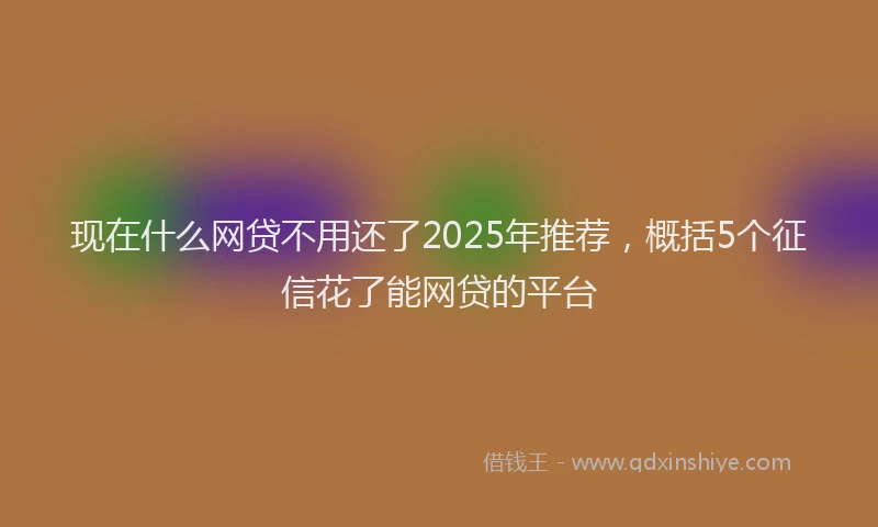 现在什么网贷不用还了2025年推荐，概括5个征信花了能网贷的平台