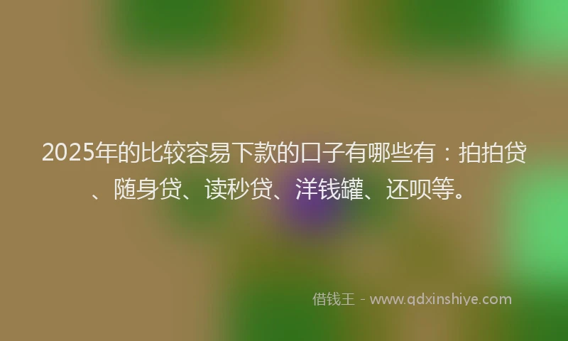 2025年的比较容易下款的口子有哪些有：拍拍贷、随身贷、读秒贷、洋钱罐、还呗等。