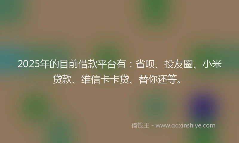 2025年的目前借款平台有：省呗、投友圈、小米贷款、维信卡卡贷、替你还等。