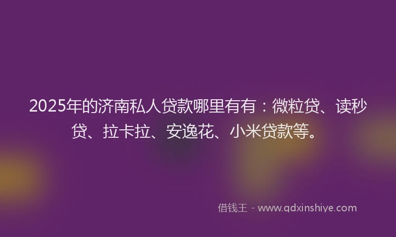 2025年的济南私人贷款哪里有有：微粒贷、读秒贷、拉卡拉、安逸花、小米贷款等。