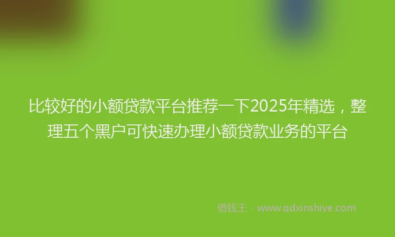 比较好的小额贷款平台推荐一下2025年精选，整理五个黑户可快速办理小额贷款业务的平台