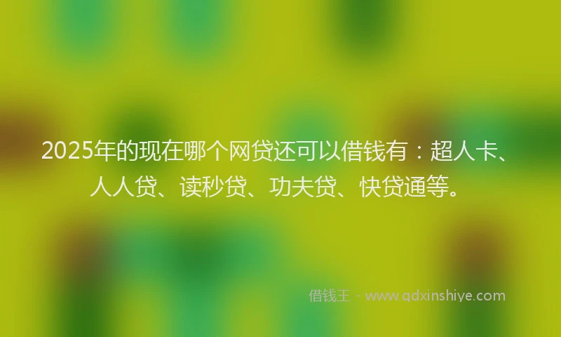 2025年的现在哪个网贷还可以借钱有：超人卡、人人贷、读秒贷、功夫贷、快贷通等。