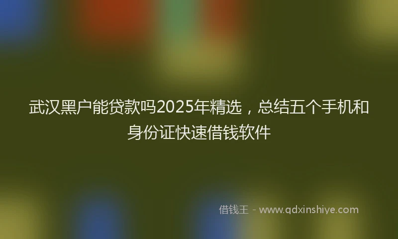 武汉黑户能贷款吗2025年精选，总结五个手机和身份证快速借钱软件