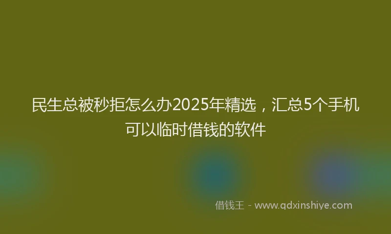 民生总被秒拒怎么办2025年精选，汇总5个手机可以临时借钱的软件