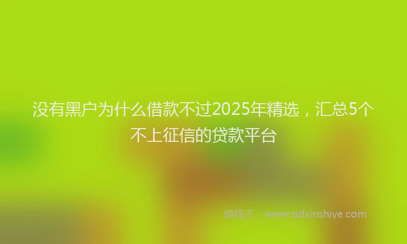 没有黑户为什么借款不过2025年精选，汇总5个不上征信的贷款平台