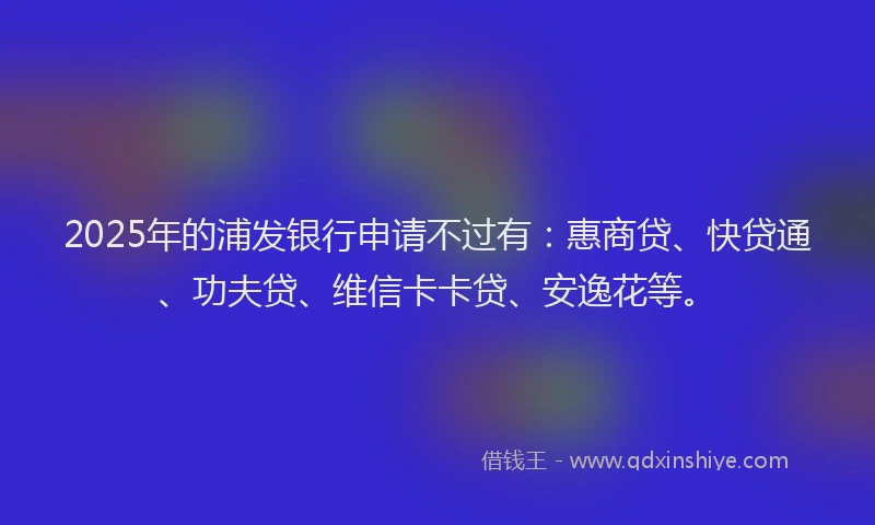 2025年的浦发银行申请不过有：惠商贷、快贷通、功夫贷、维信卡卡贷、安逸花等。