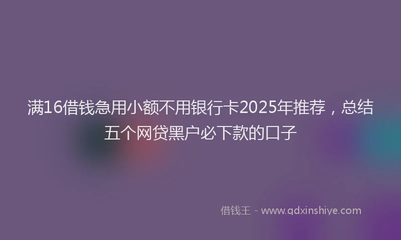 满16借钱急用小额不用银行卡2025年推荐，总结五个网贷黑户必下款的口子