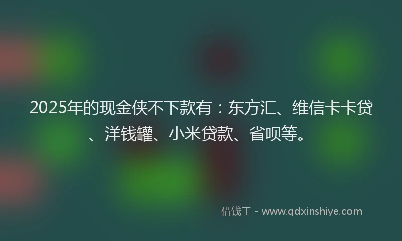 2025年的现金侠不下款有：东方汇、维信卡卡贷、洋钱罐、小米贷款、省呗等。