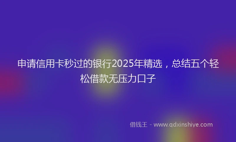 申请信用卡秒过的银行2025年精选，总结五个轻松借款无压力口子