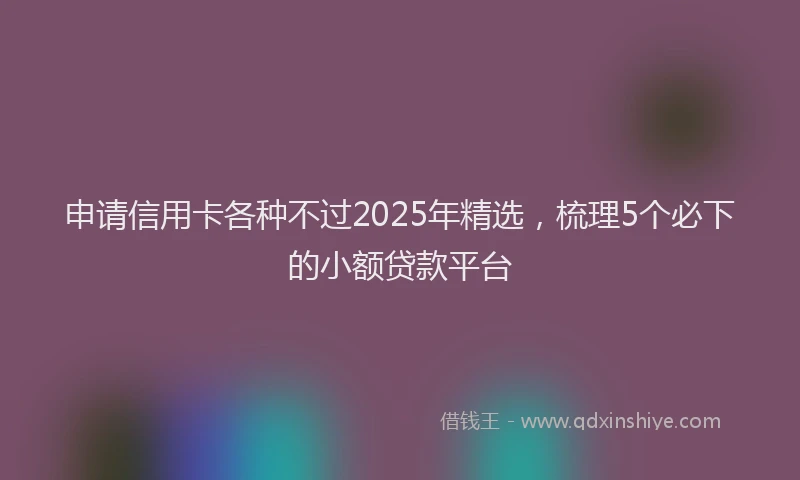 申请信用卡各种不过2025年精选，梳理5个必下的小额贷款平台
