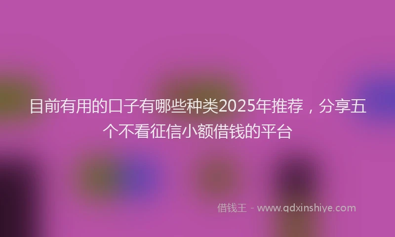 目前有用的口子有哪些种类2025年推荐，分享五个不看征信小额借钱的平台