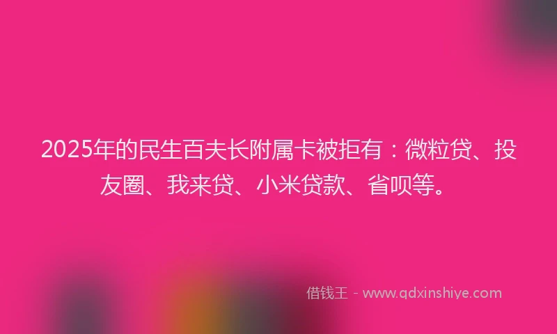 2025年的民生百夫长附属卡被拒有：微粒贷、投友圈、我来贷、小米贷款、省呗等。
