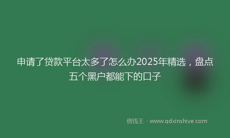 申请了贷款平台太多了怎么办2025年精选，盘点五个黑户都能下的口子