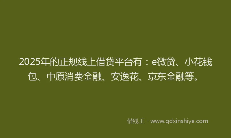 2025年的正规线上借贷平台有：e微贷、小花钱包、中原消费金融、安逸花、京东金融等。