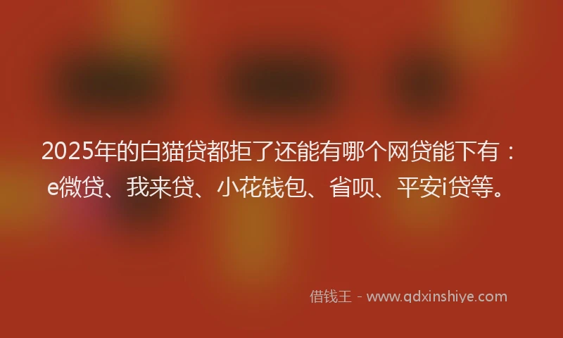 2025年的白猫贷都拒了还能有哪个网贷能下有：e微贷、我来贷、小花钱包、省呗、平安i贷等。