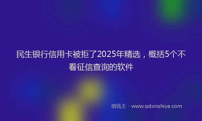 民生银行信用卡被拒了2025年精选，概括5个不看征信查询的软件
