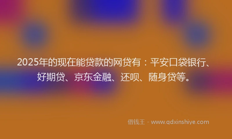2025年的现在能贷款的网贷有：平安口袋银行、好期贷、京东金融、还呗、随身贷等。
