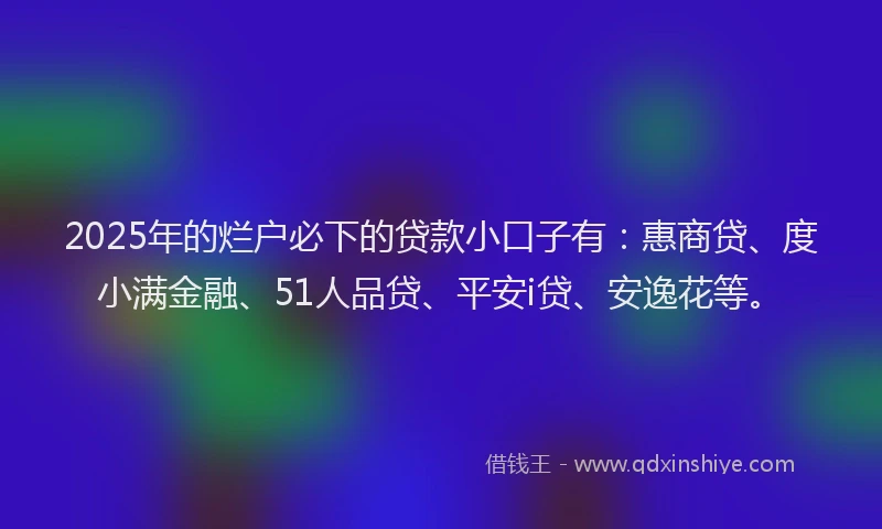 2025年的烂户必下的贷款小口子有：惠商贷、度小满金融、51人品贷、平安i贷、安逸花等。