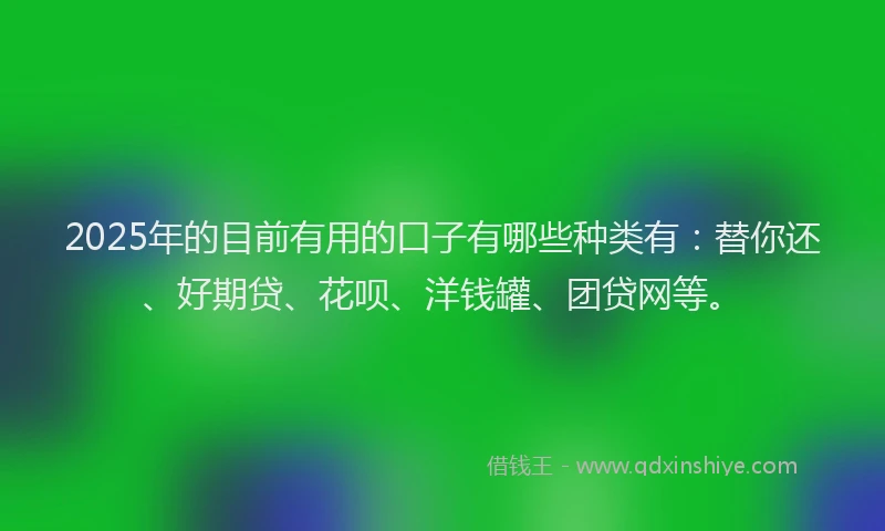 2025年的目前有用的口子有哪些种类有：替你还、好期贷、花呗、洋钱罐、团贷网等。