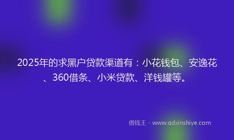 2025年的求黑户贷款渠道有：小花钱包、安逸花、360借条、小米贷款、洋钱罐等。