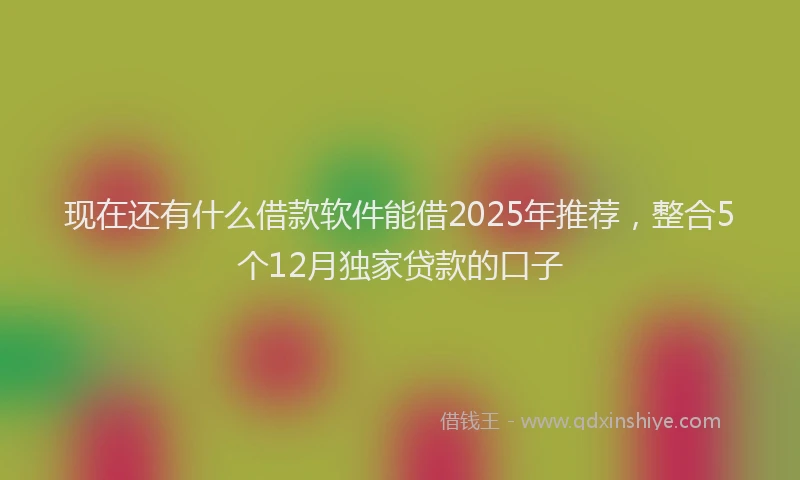 现在还有什么借款软件能借2025年推荐，整合5个12月独家贷款的口子