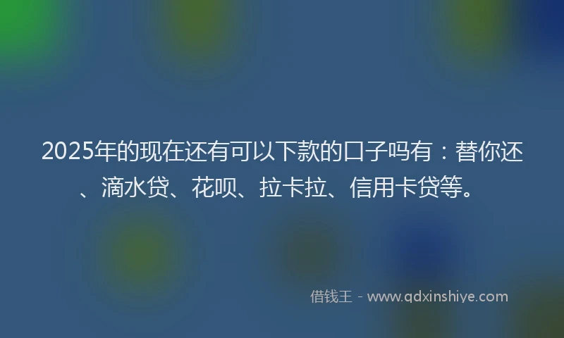 2025年的现在还有可以下款的口子吗有：替你还、滴水贷、花呗、拉卡拉、信用卡贷等。