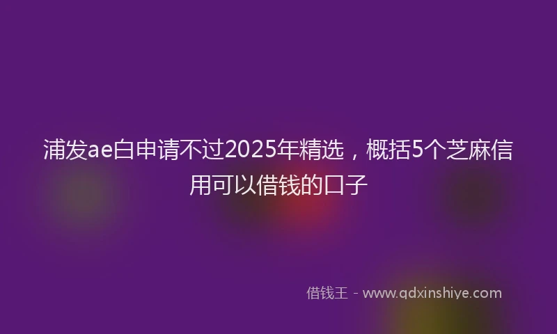 浦发ae白申请不过2025年精选，概括5个芝麻信用可以借钱的口子