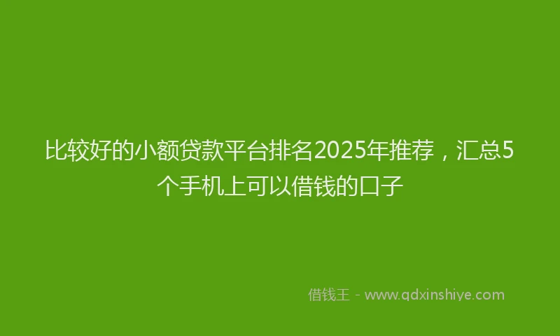 比较好的小额贷款平台排名2025年推荐，汇总5个手机上可以借钱的口子
