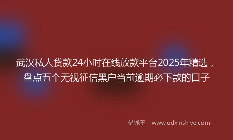 武汉私人贷款24小时在线放款平台2025年精选，盘点五个无视征信黑户当前逾期必下款的口子