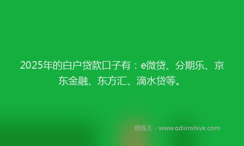 2025年的白户贷款口子有：e微贷、分期乐、京东金融、东方汇、滴水贷等。