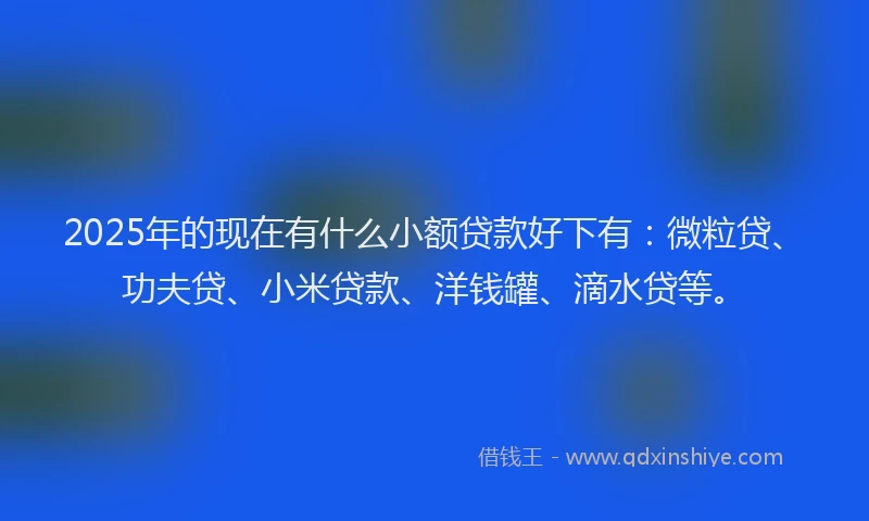 2025年的现在有什么小额贷款好下有：微粒贷、功夫贷、小米贷款、洋钱罐、滴水贷等。