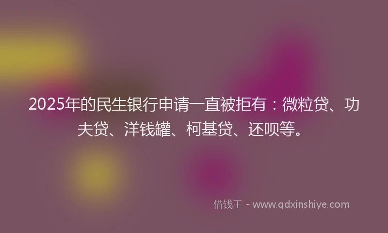 2025年的民生银行申请一直被拒有：微粒贷、功夫贷、洋钱罐、柯基贷、还呗等。