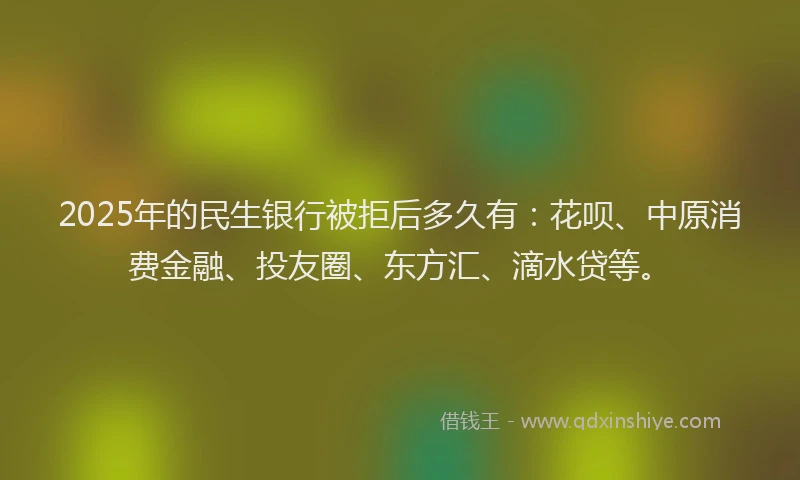 2025年的民生银行被拒后多久有：花呗、中原消费金融、投友圈、东方汇、滴水贷等。