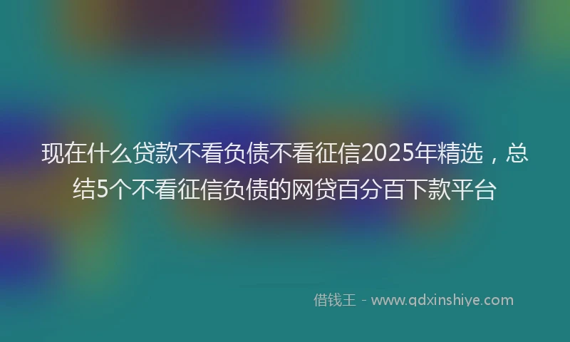 现在什么贷款不看负债不看征信2025年精选，总结5个不看征信负债的网贷百分百下款平台