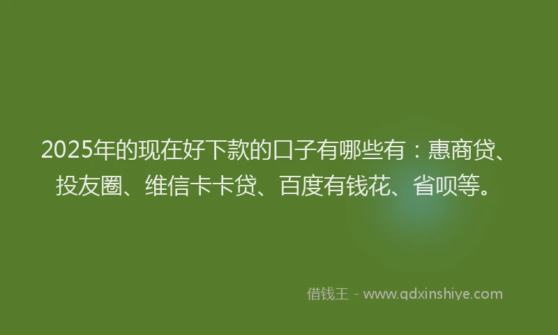 2025年的现在好下款的口子有哪些有：惠商贷、投友圈、维信卡卡贷、百度有钱花、省呗等。