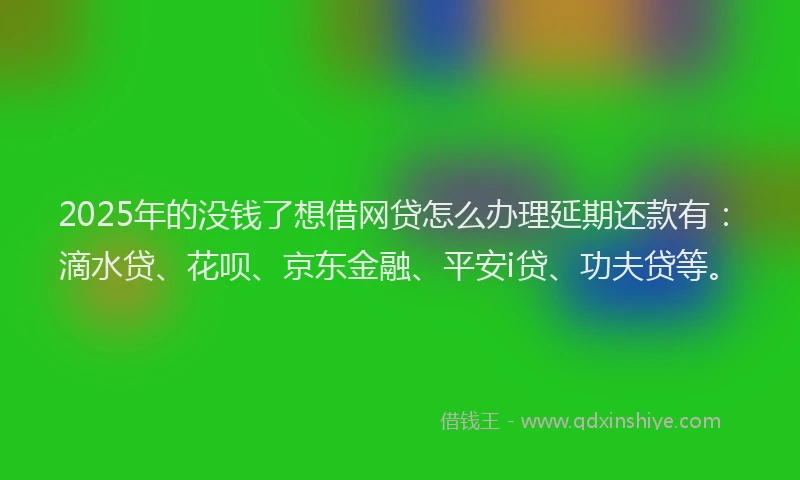 2025年的没钱了想借网贷怎么办理延期还款有：滴水贷、花呗、京东金融、平安i贷、功夫贷等。